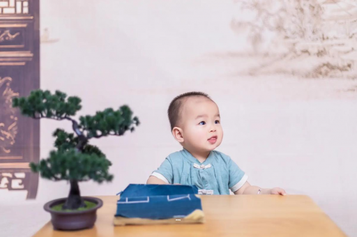 试管代怀生子合法吗宝宝被跳蚤咬了